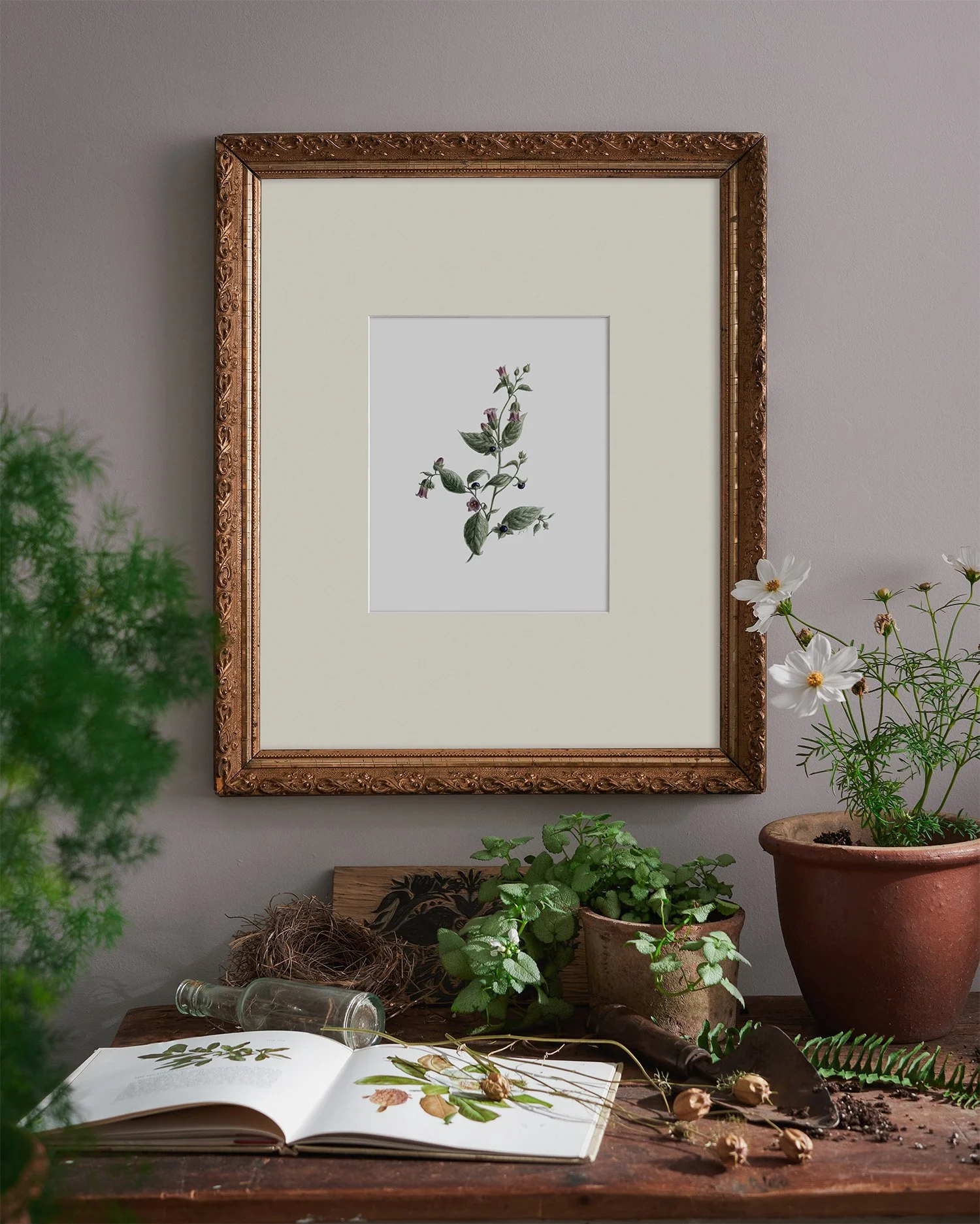 Belladonna Watercolor Art Print — Nature-Inspired Fine Art, Prints